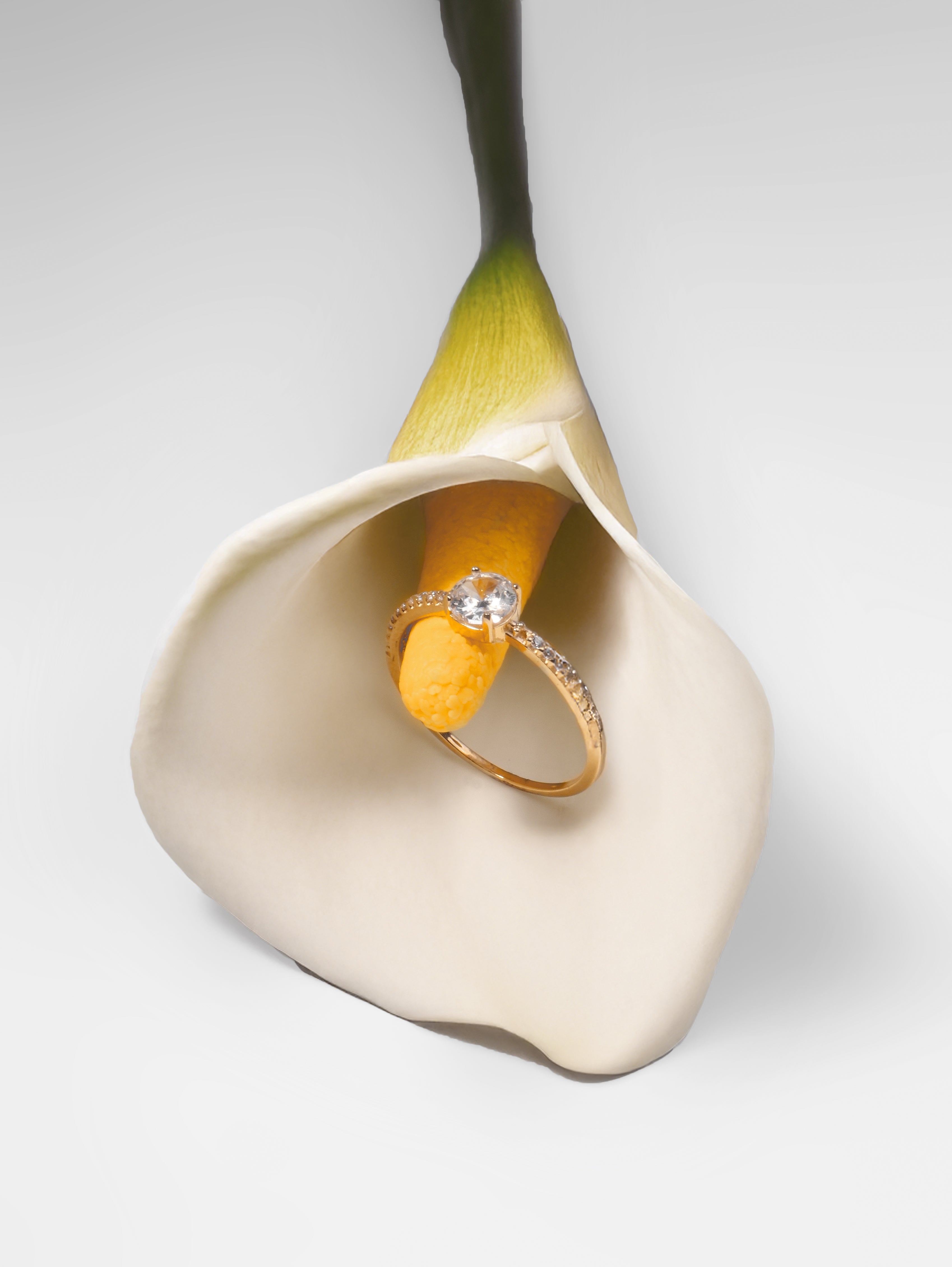 Anel Solitário Ouro 18K – ANG01500HM00004